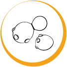 Yeast logo